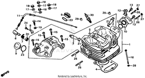 Cylinder Head Schematic