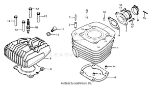 Cylinder Head + Cylinder Schematic
