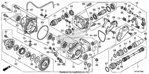 Front Final Gear Schematic