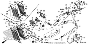 Radiator Schematic