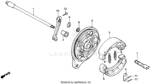 Rear Brake Panel Schematic