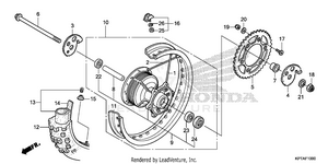 Rear Wheel Schematic