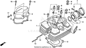 Cylinder Head Schematic
