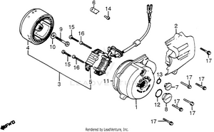 Left Crankcase Cover + Alternator Schematic