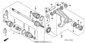 Rear Knuckle Schematic