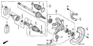 Knuckle Schematic