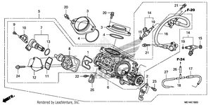 Throttle Body (a/cm) Schematic