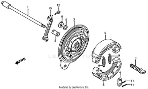 Rear Brake Panel Schematic