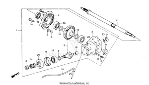 Final Driven Gear + Rear Axle Shaft Schematic