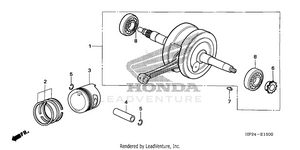 Crankshaft + Piston Schematic