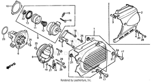 Left Crankcase Cover + Water Pump Schematic