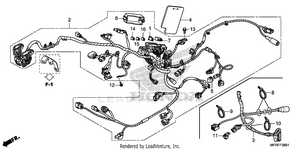 Wire Harness (2) Schematic