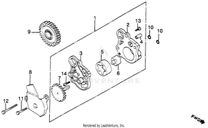 Oil Pump Schematic