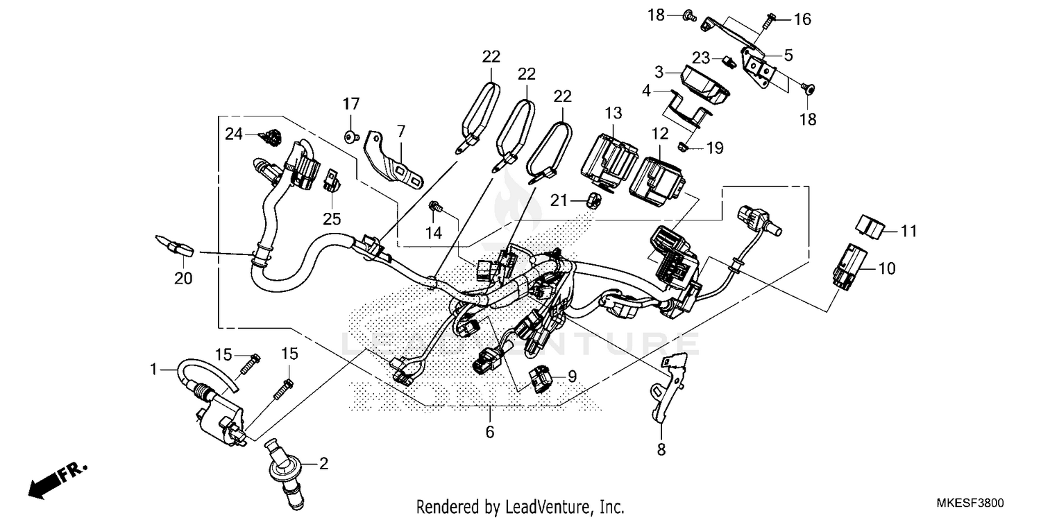 WIRE HARNESS