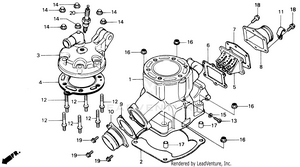Cylinder Head Schematic