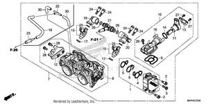 Throttle Body Schematic