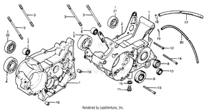 Crankcase Schematic