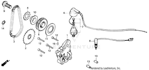 Oil Pump Schematic