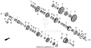 Transmission Schematic