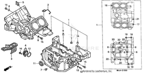 Crankcase Schematic