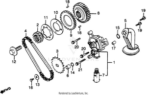 Oil Pump + Primary Drive Gear Schematic