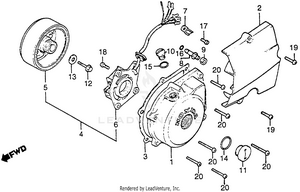Left Crankcase Cover + Alternator Schematic