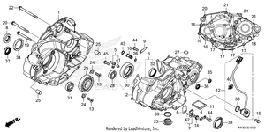 Crankcase Schematic