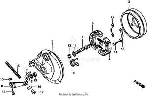 Front Brake Panel Schematic