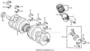 Crankshaft + Piston Schematic