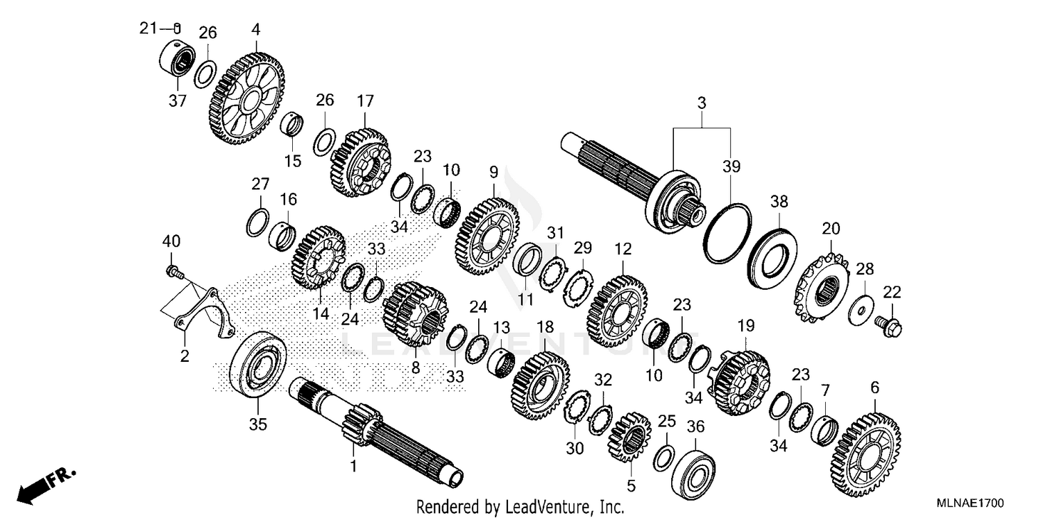 TRANSMISSION (1)