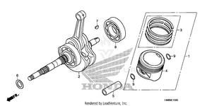 Crankshaft + Piston Schematic