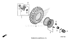 Rear Wheel Schematic