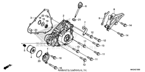 Left Crankcase Cover Schematic