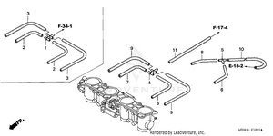 Throttle Body (tubing) Schematic