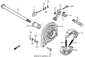 Rear Brake Panel Schematic