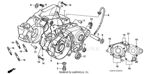 Crankcase Schematic