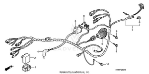 Wire Harness ('06-'07) Schematic