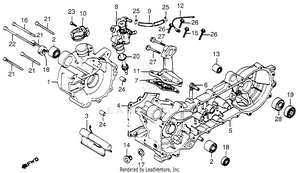 Crankcase Oil Pump Schematic