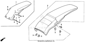 Rear Fender Schematic