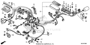 Wire Harness Schematic