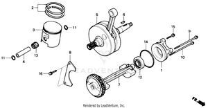 Crankshaft Schematic