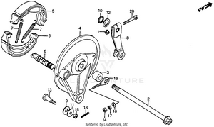 Rear Brake Panel 80-81 Schematic