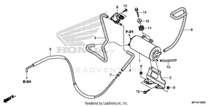 Evap Canister Schematic