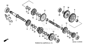Transmission Schematic