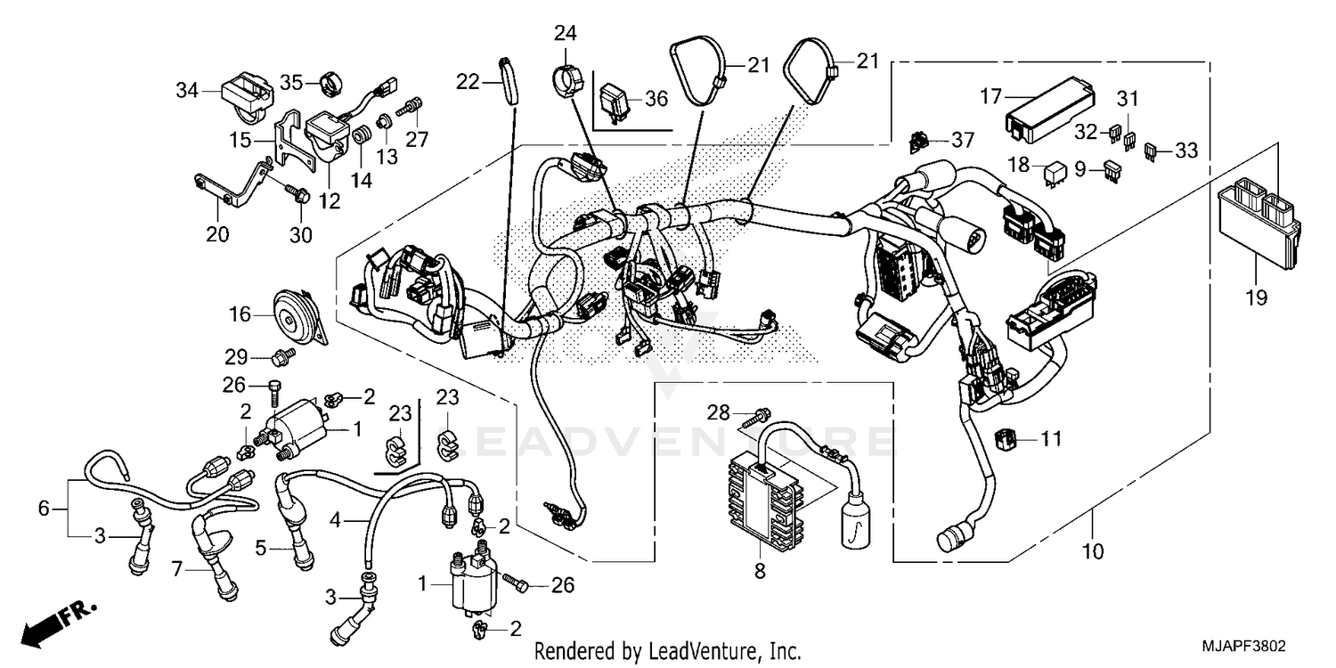 WIRE HARNESS (3)