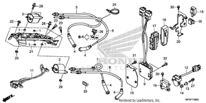 Ignition Coil@ecu Schematic