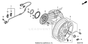 Rear Wheel Schematic