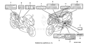 Label Schematic