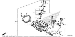 Throttle Body Schematic