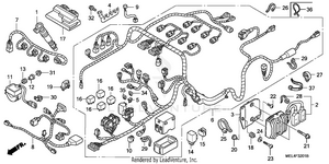Wire Harness (2) Schematic